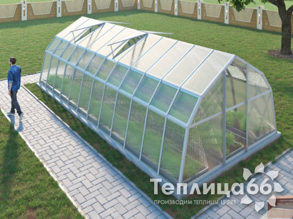 Теплица Рада Таймыр из поликарбоната, 3,5x8 метров, белая